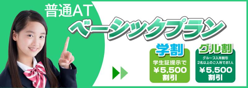 ベーシックプランAT